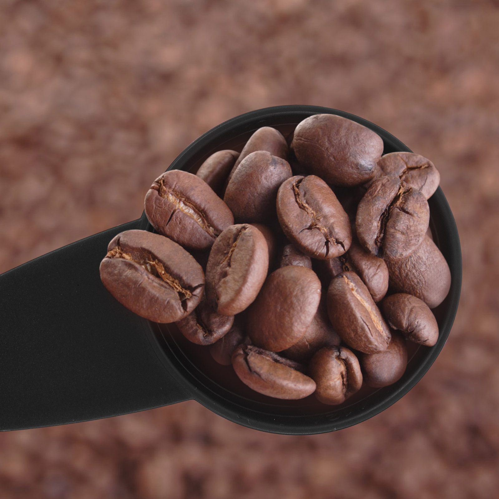 Conjunto de 5 Colheres Medidor - Coffee Tea Sugar avaliação e preço